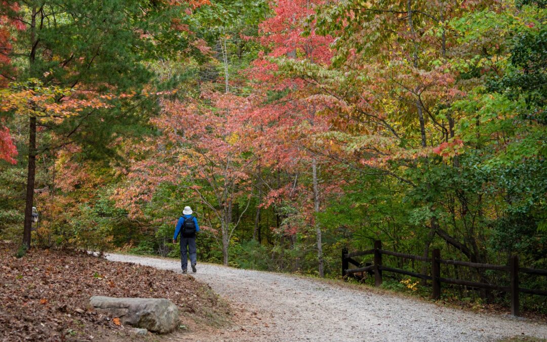 Thirst for Good Partner Highlight: The NC Arboretum