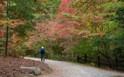 Thirst for Good Partner Highlight: The NC Arboretum
