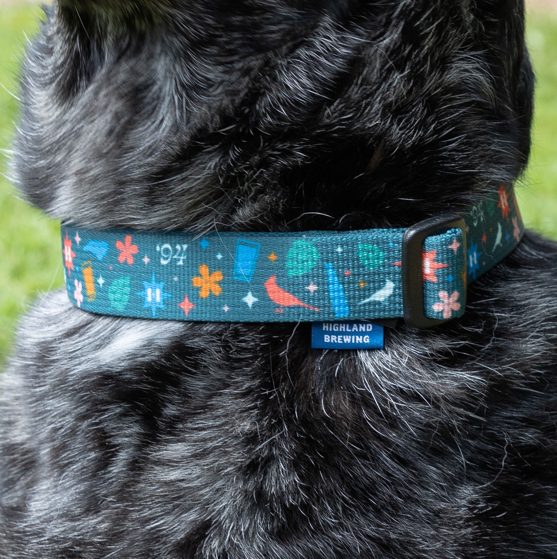 Chaco Dog Collar - Image 2
