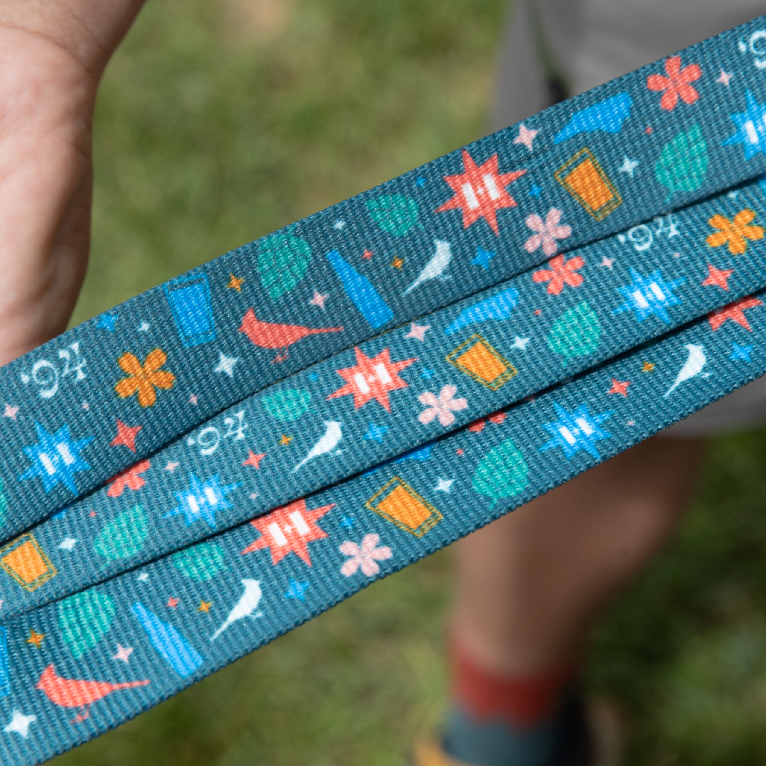 Chaco Dog Collar - Image 3