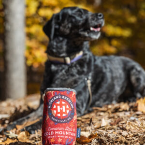 Cold Mountain Dog Toy