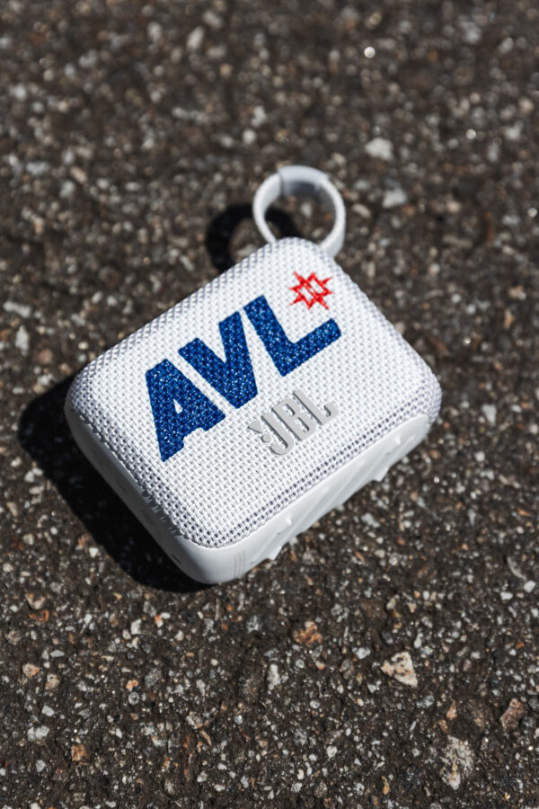 AVL JBL speaker