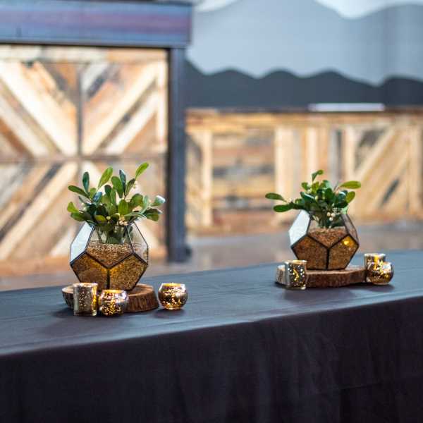 Geometric Terrariums and Votives
